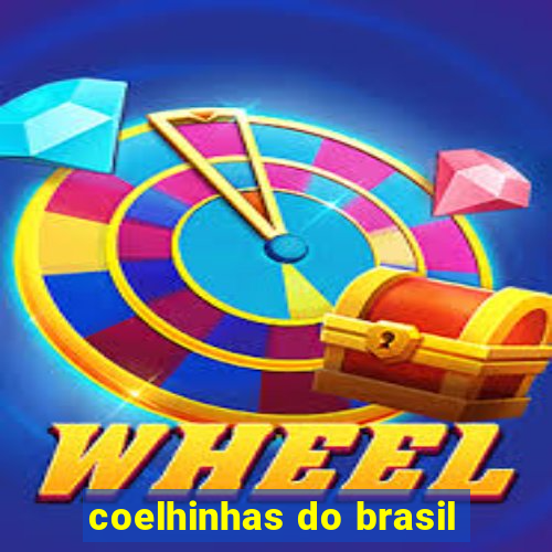 coelhinhas do brasil